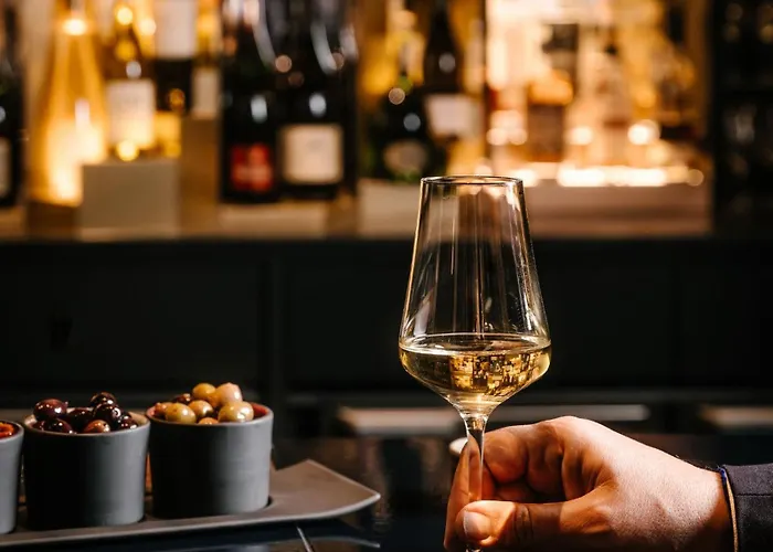 Hotel Hannong & Wine Bar Straatsburg